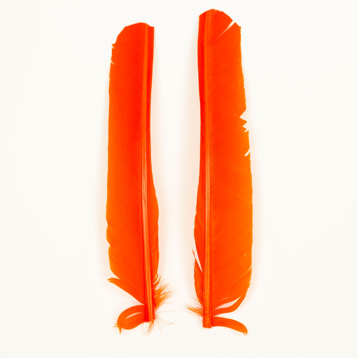 Orange Cut Turkey Pointer Feathers 8-12"