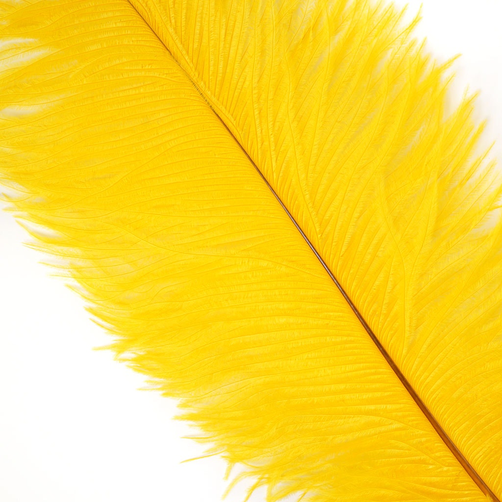 Ostrich Feather Drabs - 13-16 inch - Gold - Ostrich Feathers