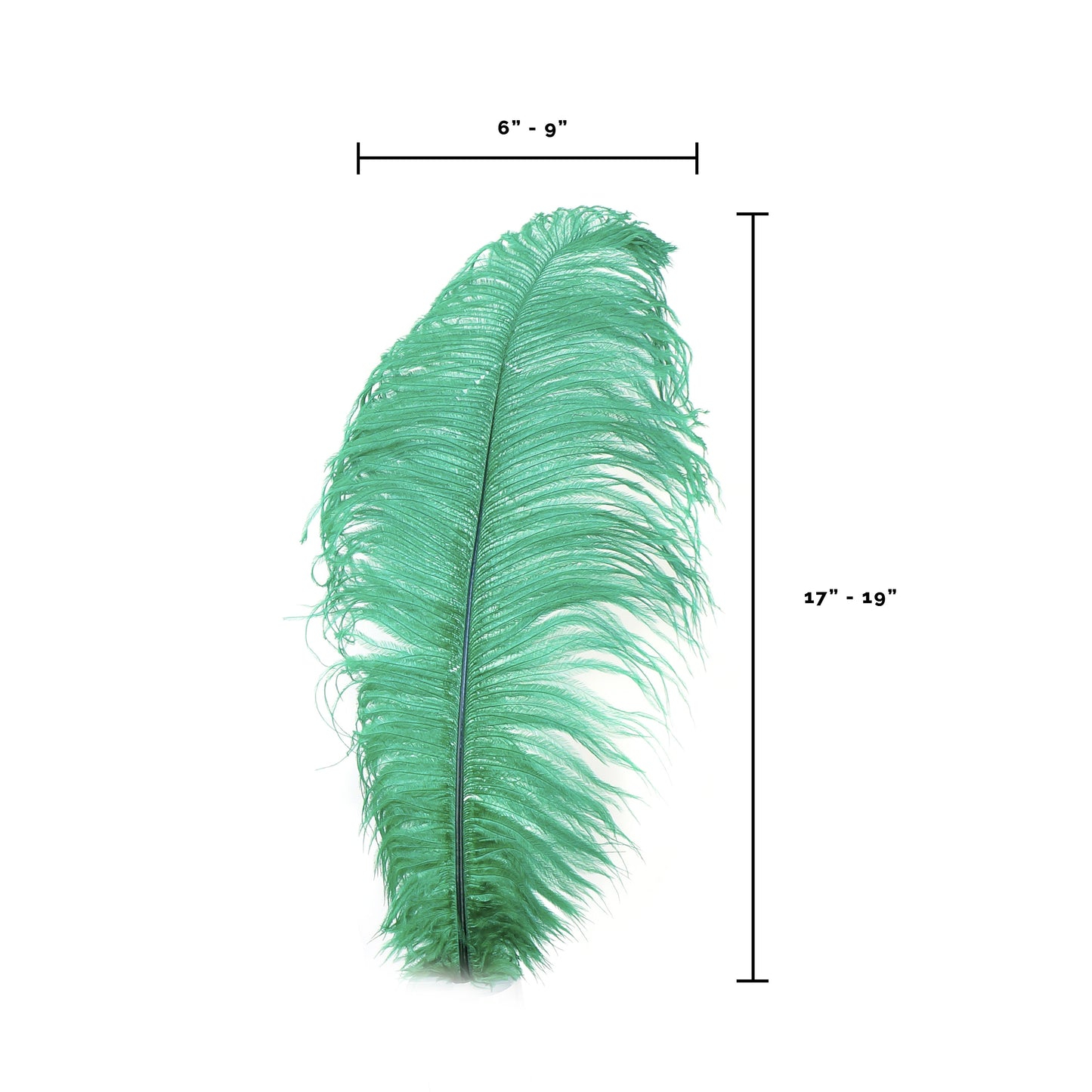 Ostrich Feather Drabs - 17-19’’ 12pcs - Emerald - Feathers