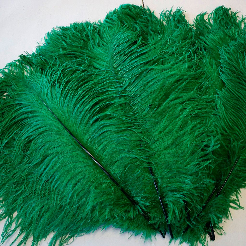 Ostrich Feather Drabs - 17-19’’ 12pcs - Emerald - Feathers