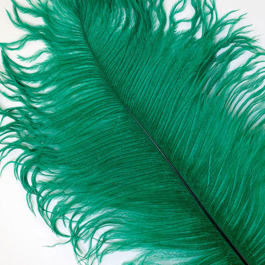 Ostrich Feather Drabs - 17-19’’ 12pcs - Emerald - Feathers