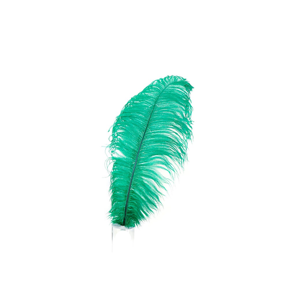 Ostrich Feather Drabs - 17-19’’ 12pcs - Emerald - Feathers