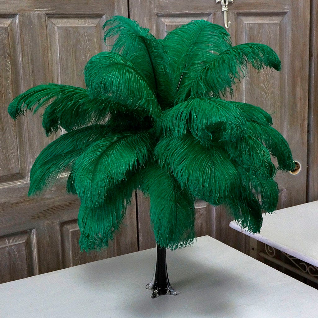 Ostrich Feather Drabs - 17-19’’ 12pcs - Emerald - Feathers