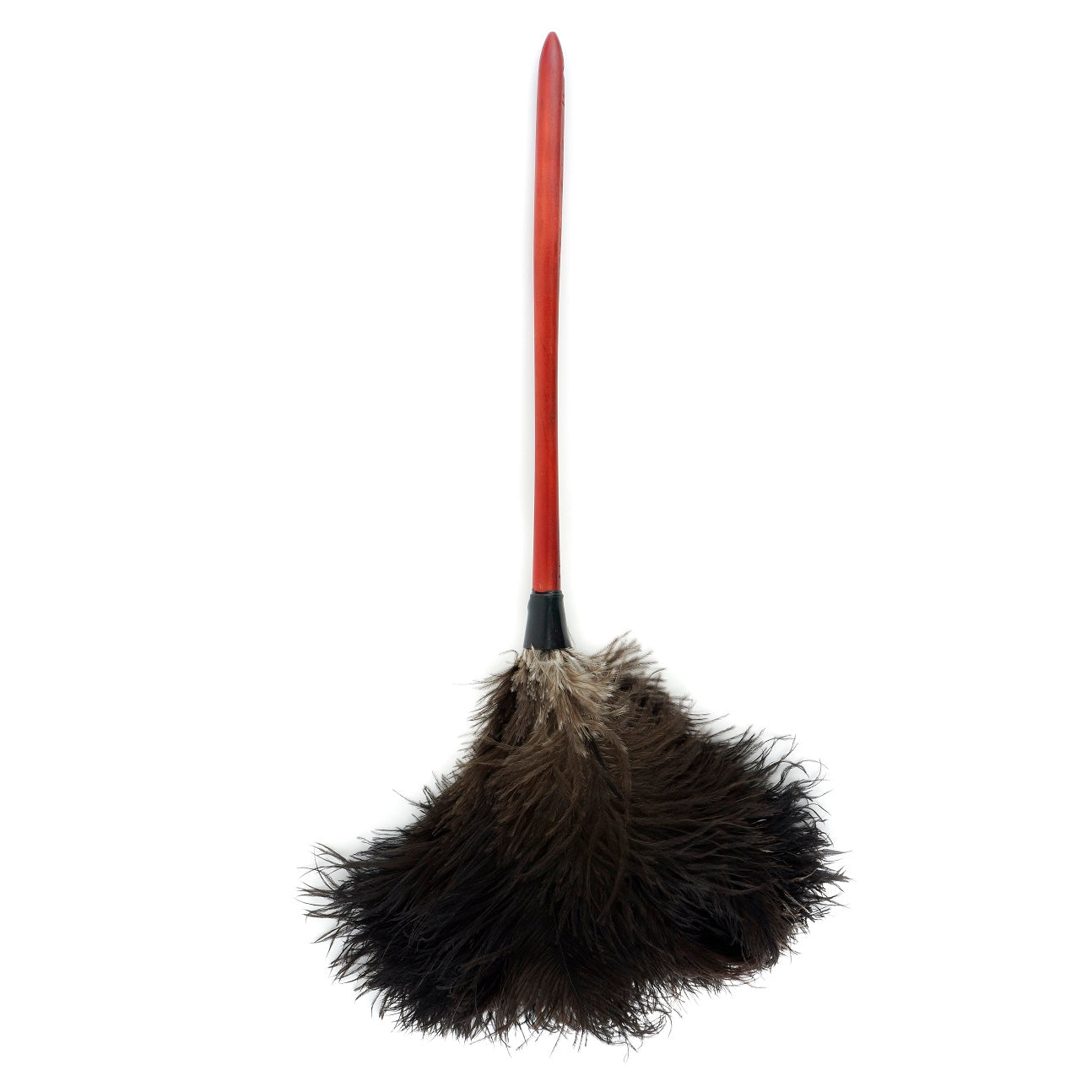 Ostrich Feather Duster-Wooden Handle - Natural - Feathers