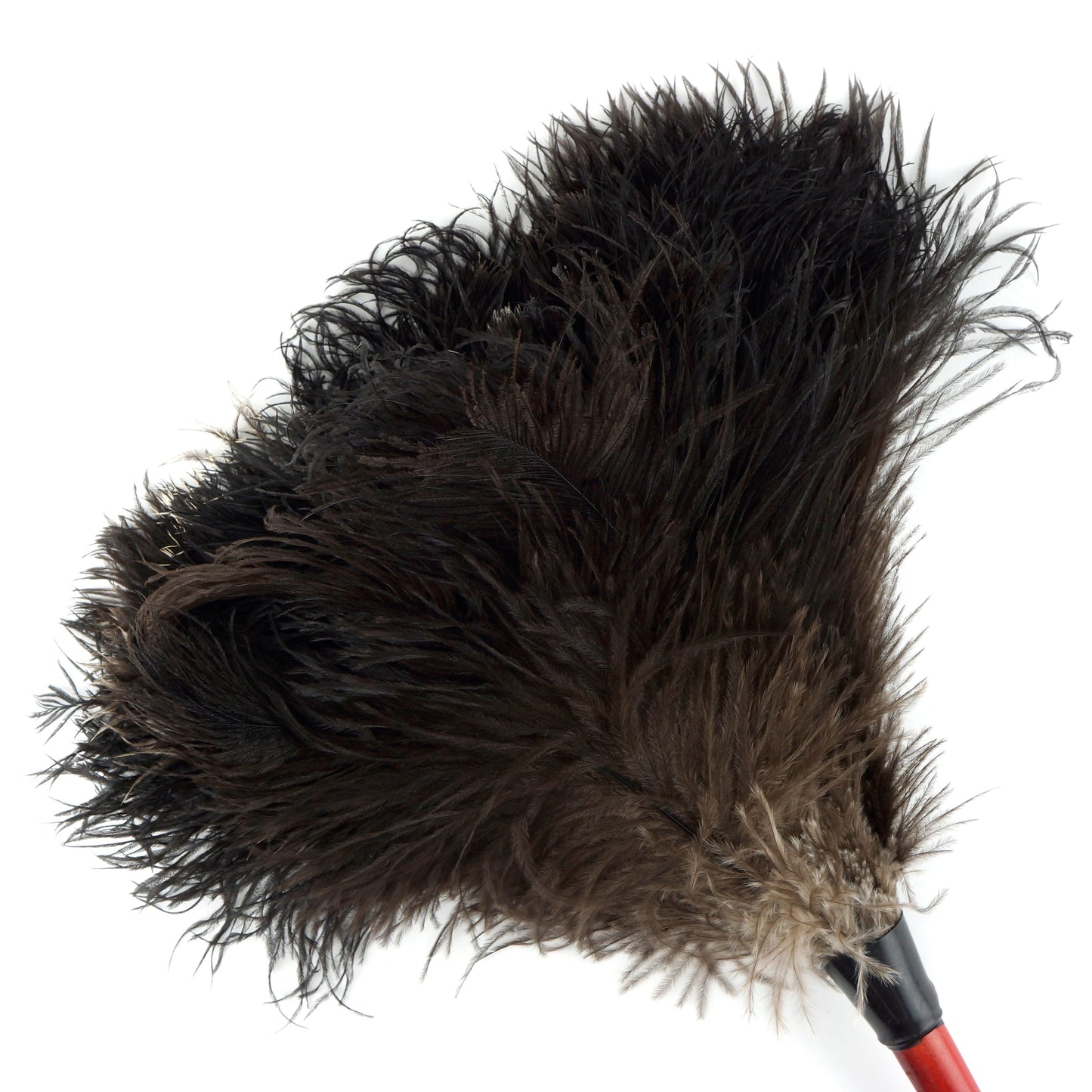 Ostrich Feather Duster-Wooden Handle - Natural - Feathers