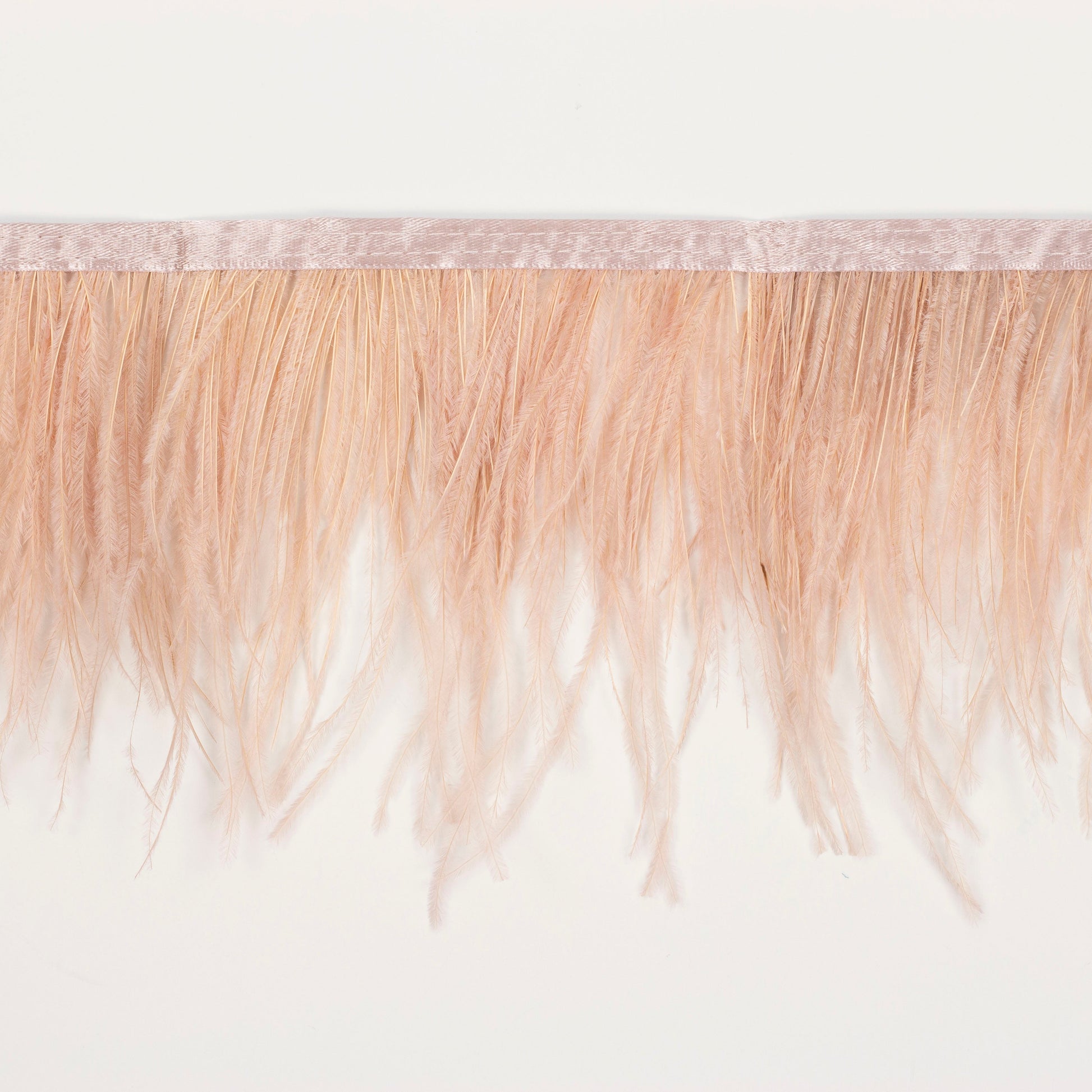 Ostrich Feather Fringe 2PLY - Champagne - Feathers