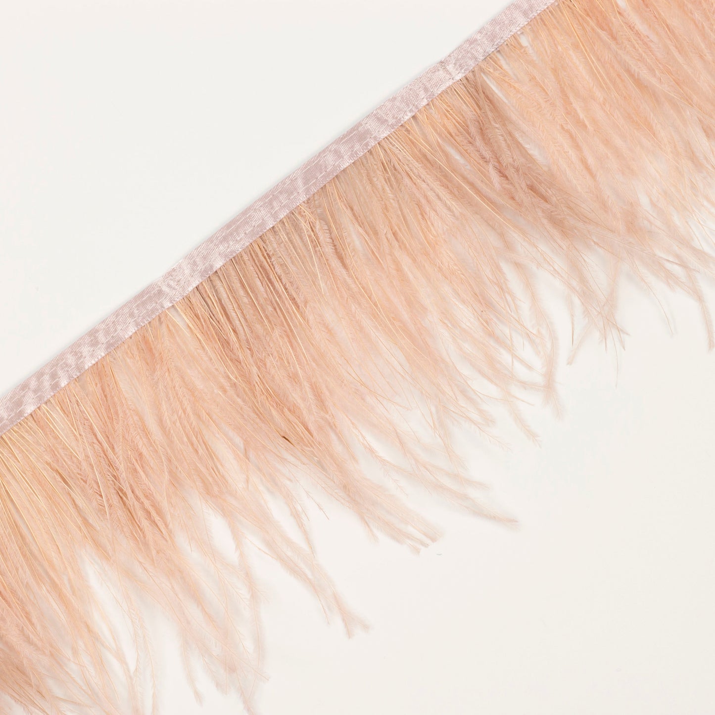 Ostrich Feather Fringe 2PLY - Champagne - Feathers