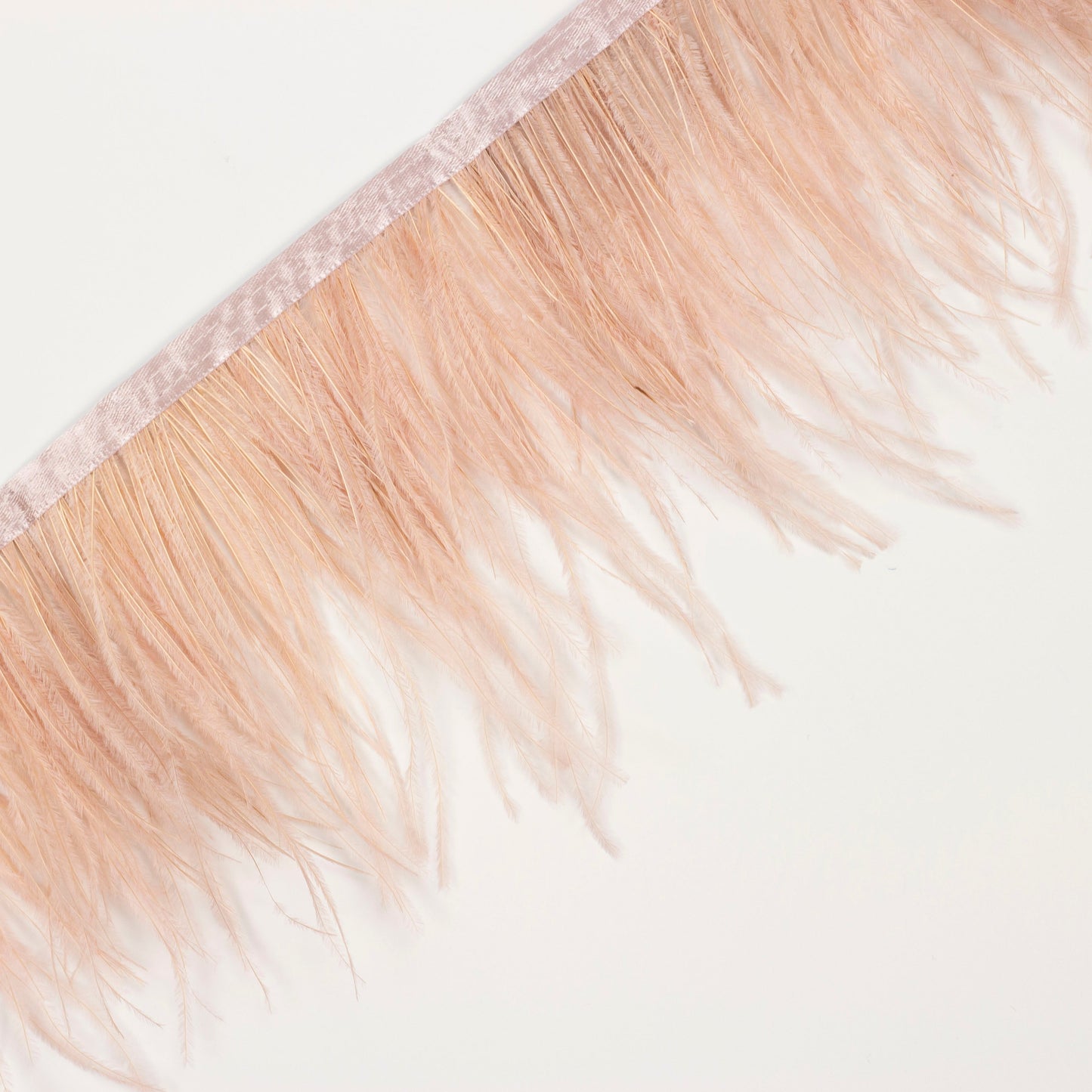 Ostrich Feather Fringe 2PLY - Champagne - Feathers