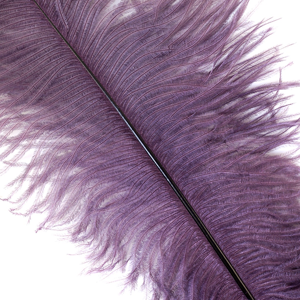 Ostrich Feathers 13-16’’ Drabs - Amethyst - 1 piece - Ostrich Feathers