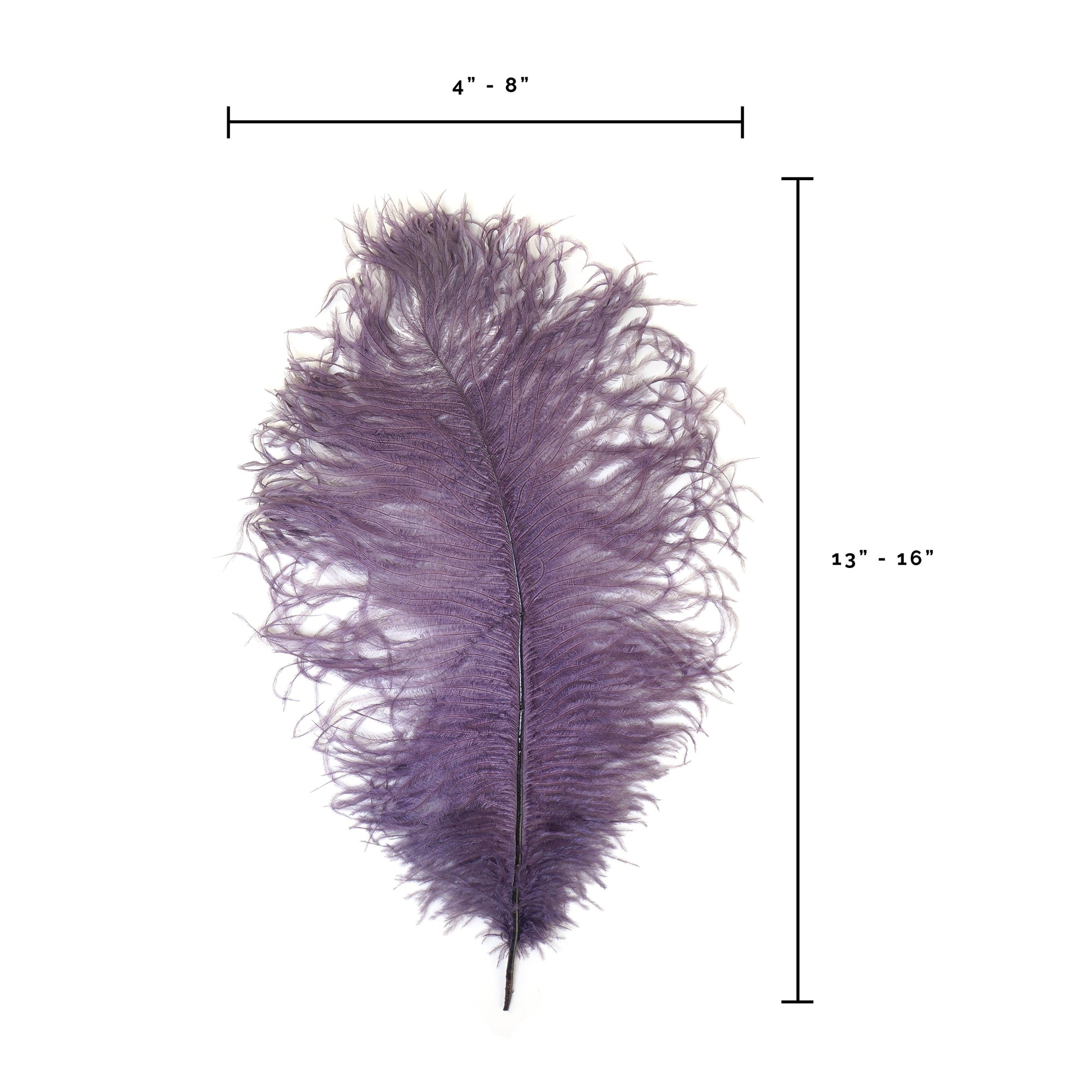 Ostrich Feathers 13-16’’ Drabs - Amethyst - Ostrich Feathers