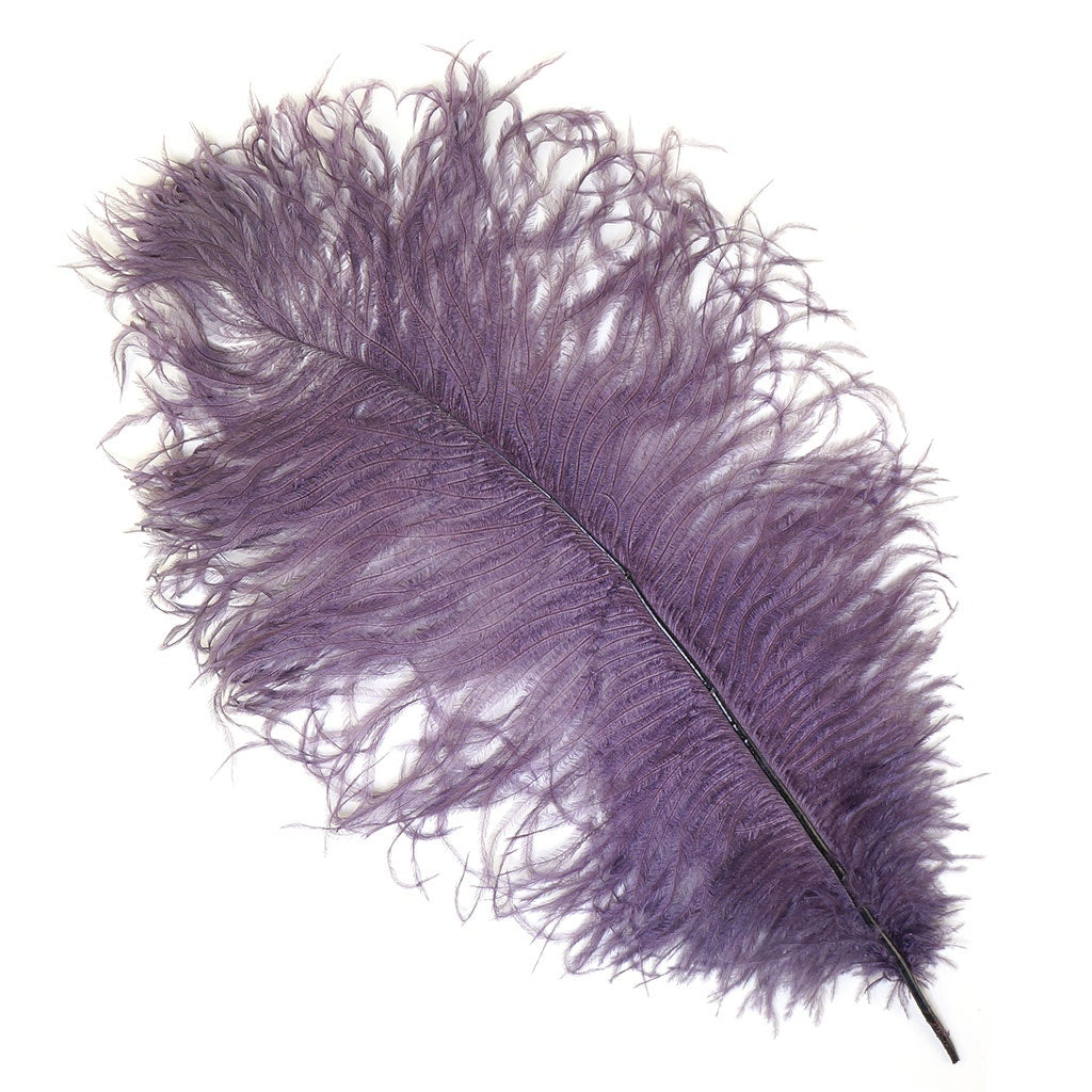 Ostrich Feathers 13-16’’ Drabs - Amethyst - Ostrich Feathers