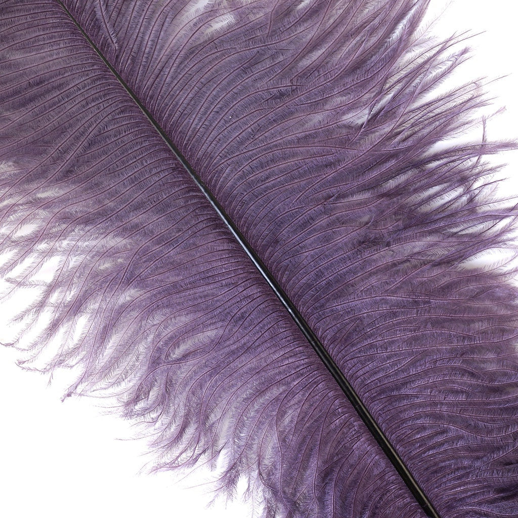 Ostrich Feathers 13-16’’ Drabs - Amethyst - Ostrich Feathers