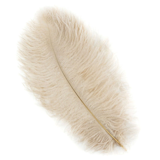 Ostrich Feathers 13-16’’ Drabs - Beige - 1 piece - Ostrich Feathers