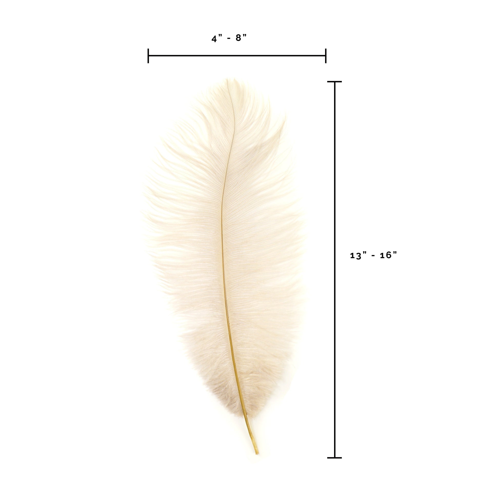 Ostrich Feathers 13-16’’ Drabs - Beige - Ostrich Feathers