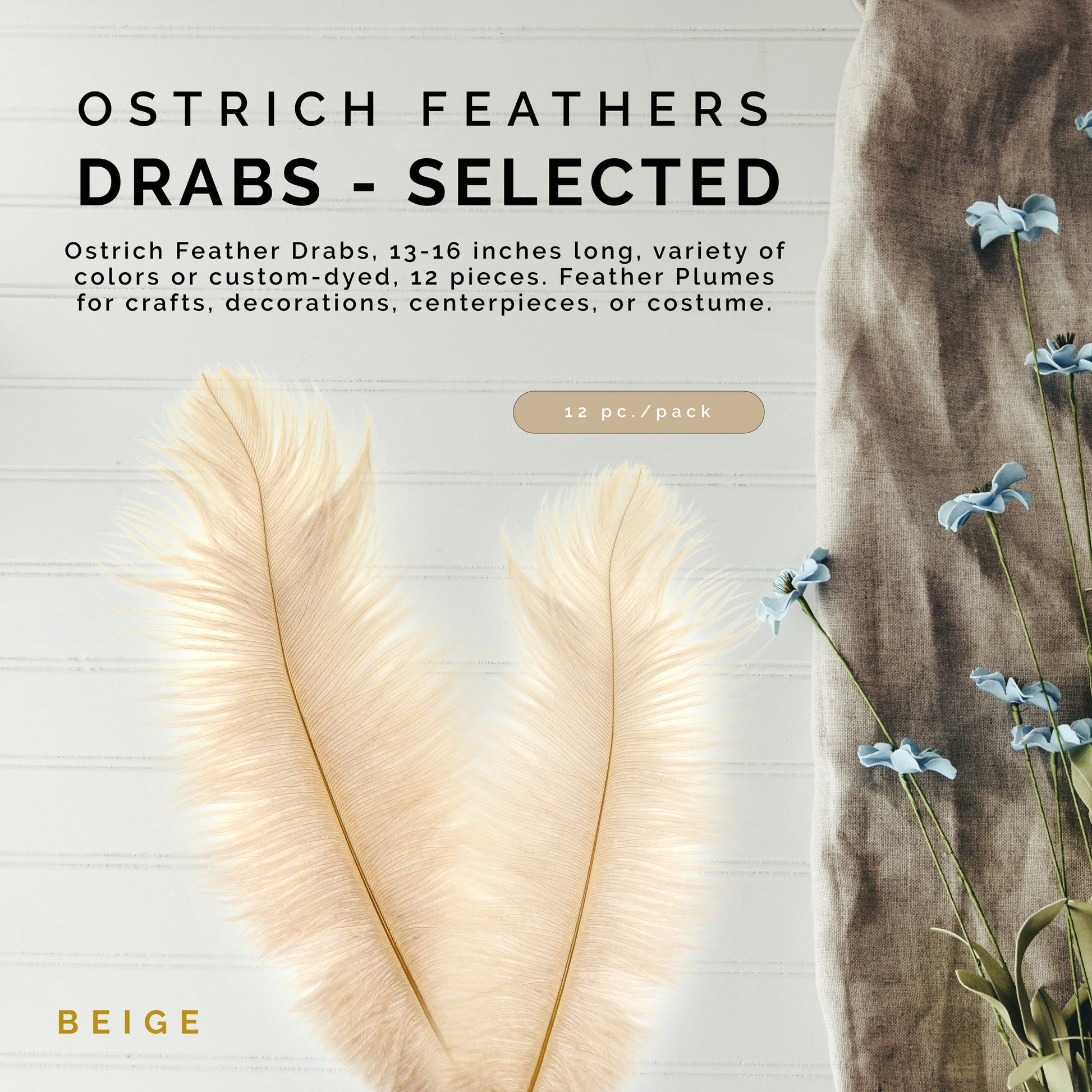 Ostrich Feathers 13-16’’ Drabs - Beige - Ostrich Feathers