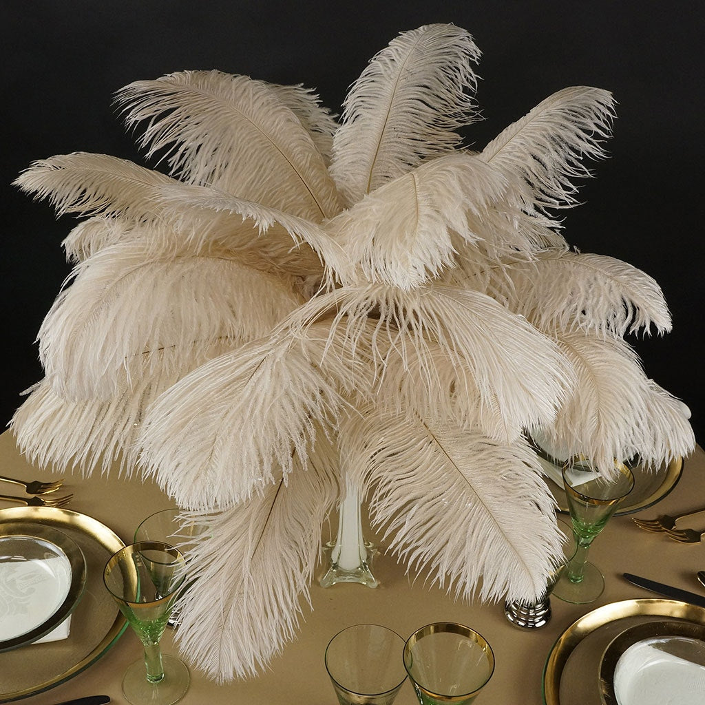 Ostrich Feathers 13-16’’ Drabs - Beige - Ostrich Feathers