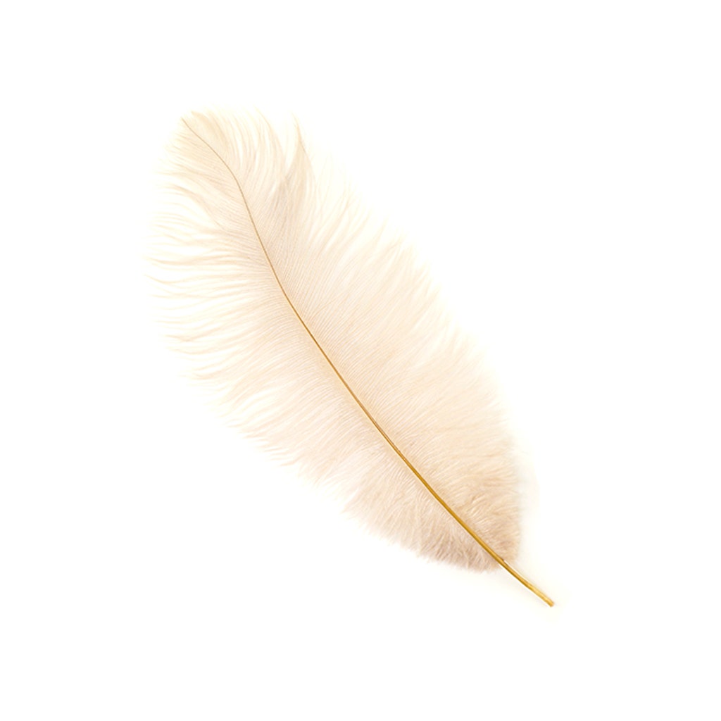 Ostrich Feathers 13-16’’ Drabs - Beige - Ostrich Feathers