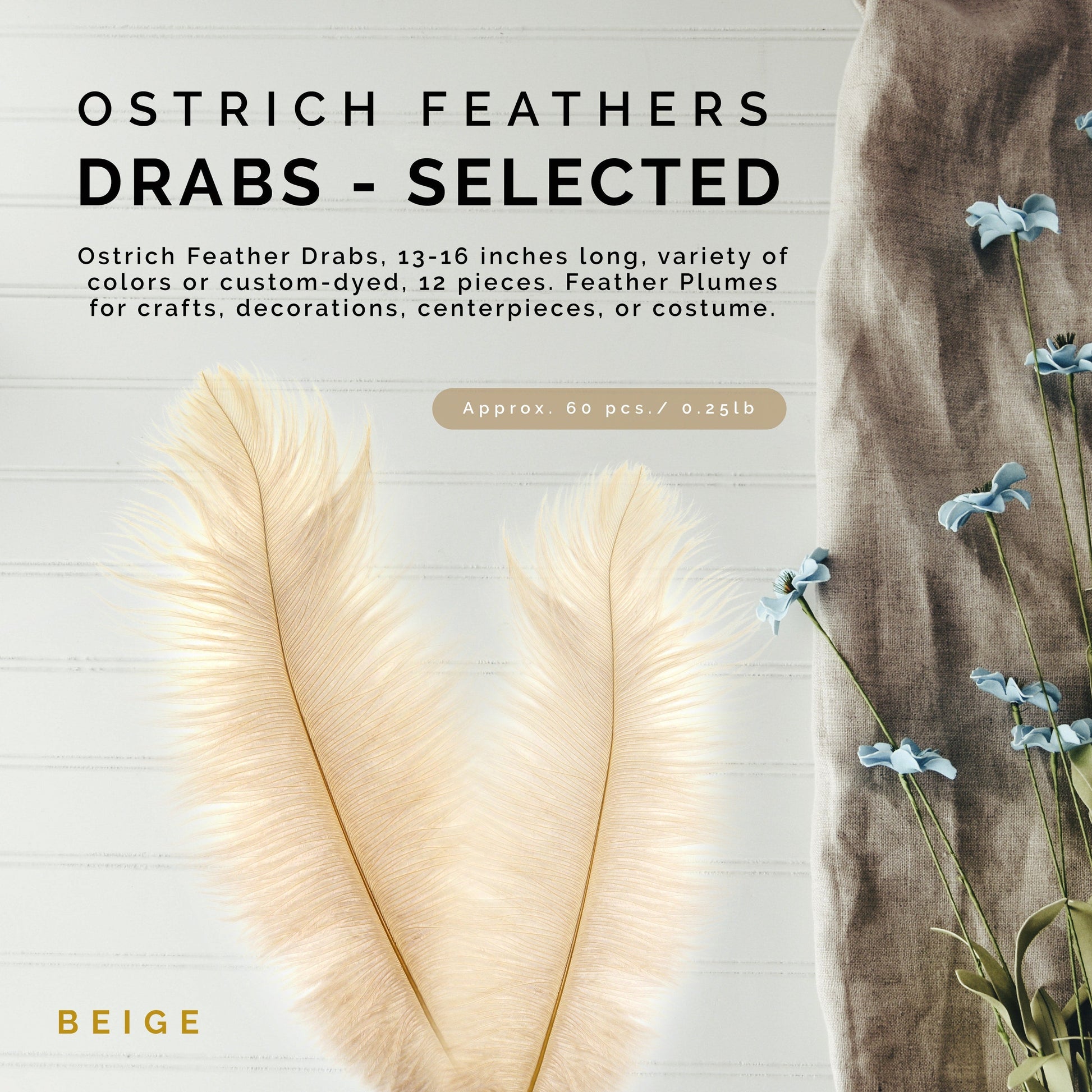 Ostrich Feathers 13-16’’ Drabs - Beige - Ostrich Feathers