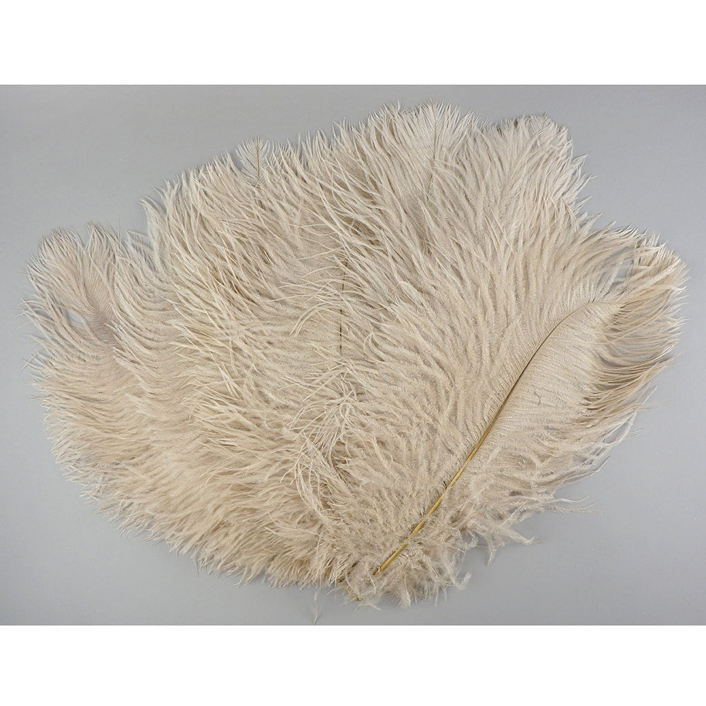 Ostrich Feathers 13-16’’ Drabs - Beige - Ostrich Feathers