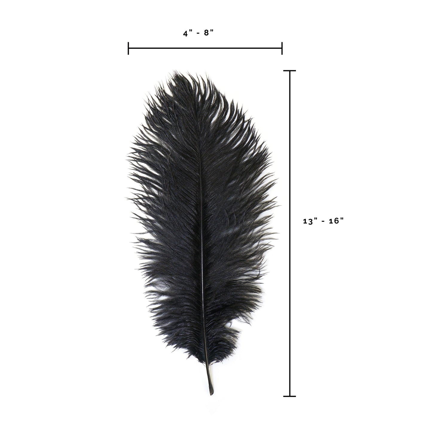 Ostrich Feathers 13-16’’ Drabs - Black - Ostrich Feathers