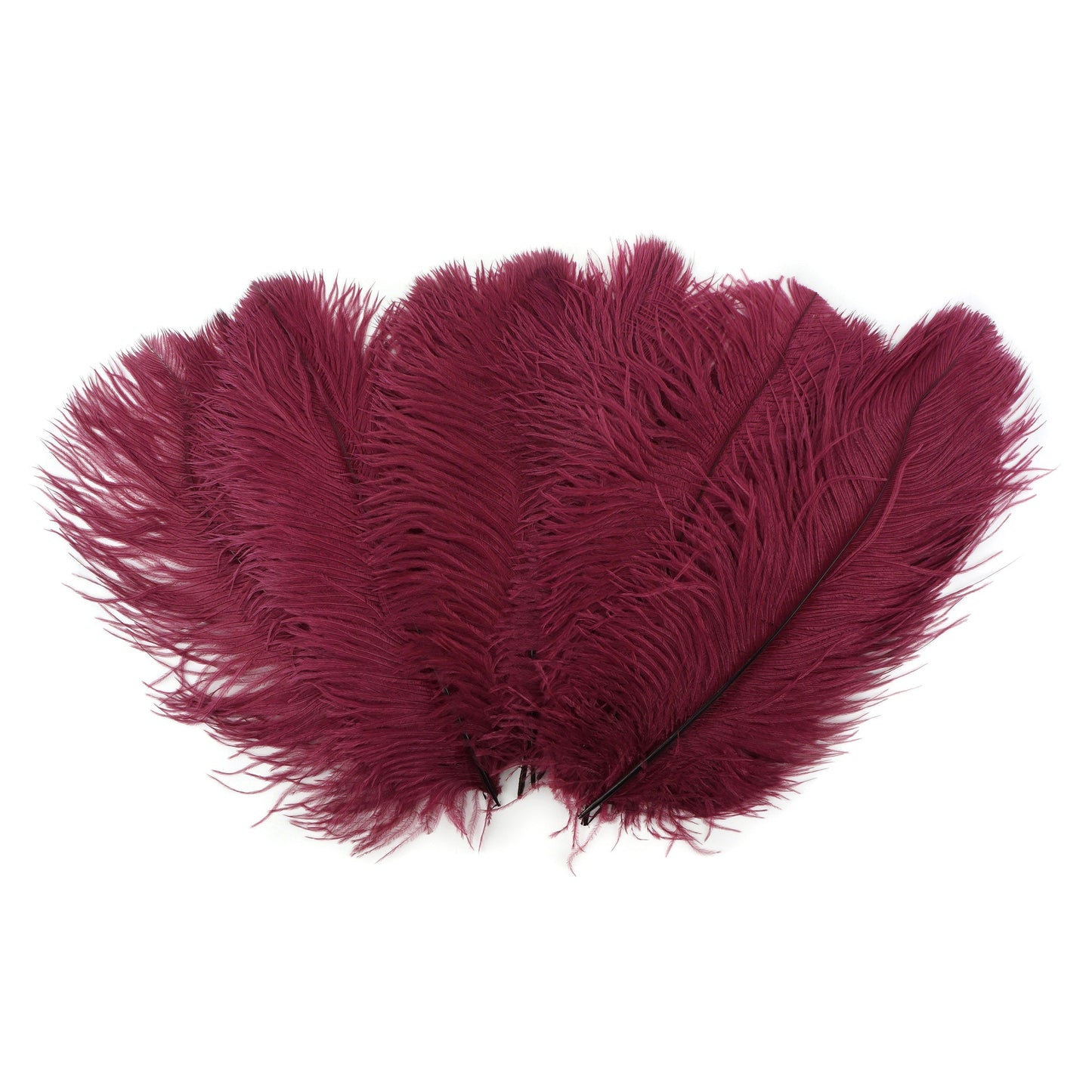 Ostrich Feathers 13-16’’ Drabs - Burgundy - 12 pieces - Ostrich Feathers