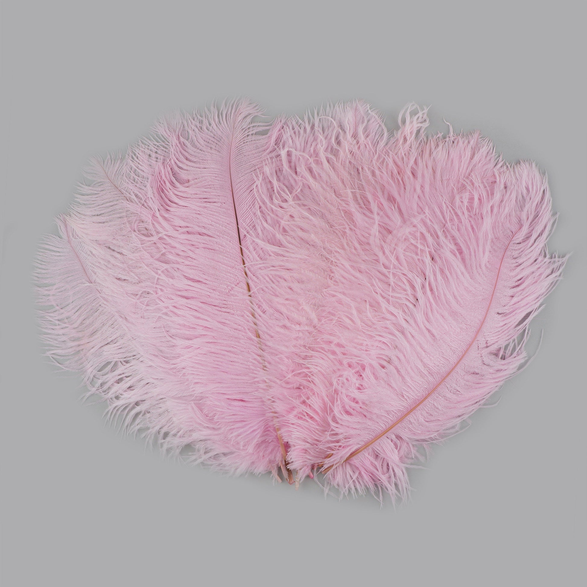 Ostrich Feathers 13-16’’ Drabs - Candy Pink - 12 pieces - Ostrich Feathers