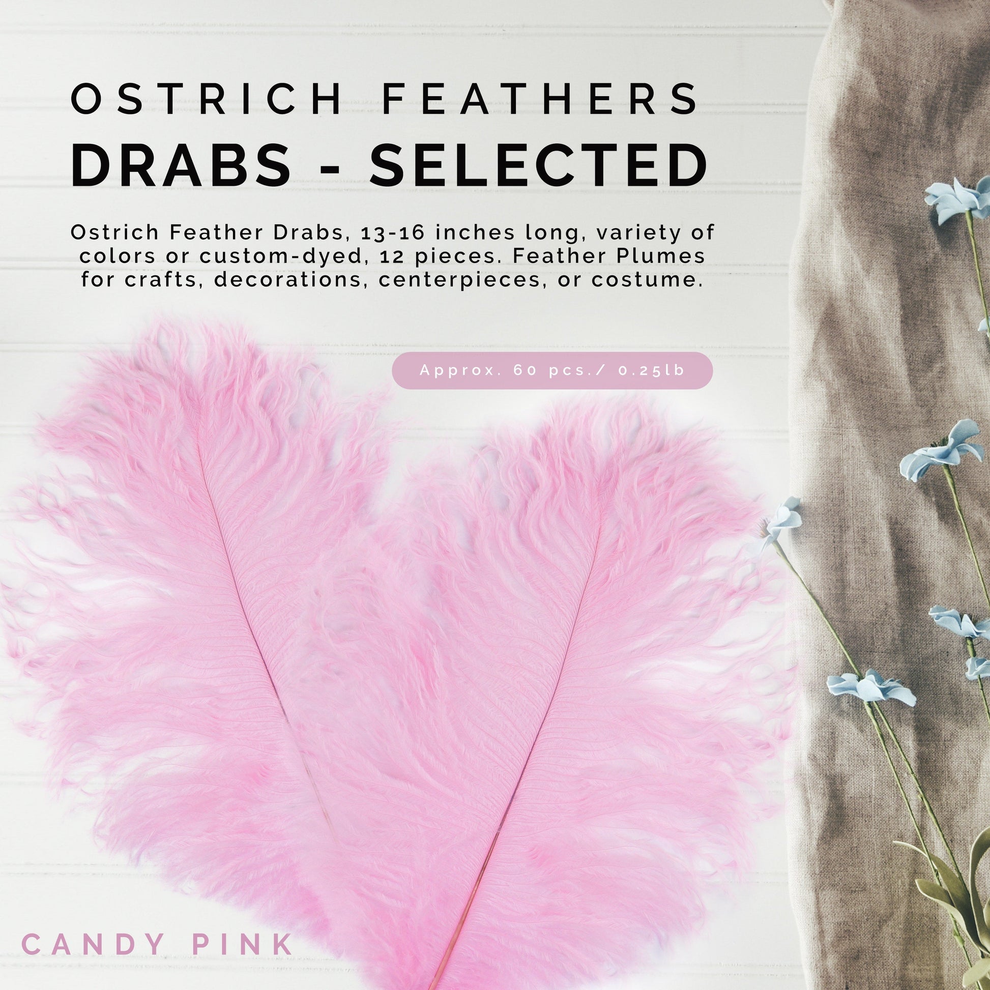 Ostrich Feathers 13-16’’ Drabs - Candy Pink - Ostrich Feathers