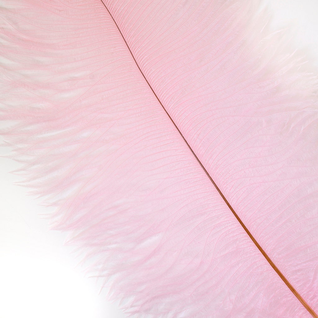 Ostrich Feathers 13-16’’ Drabs - Candy Pink - Ostrich Feathers