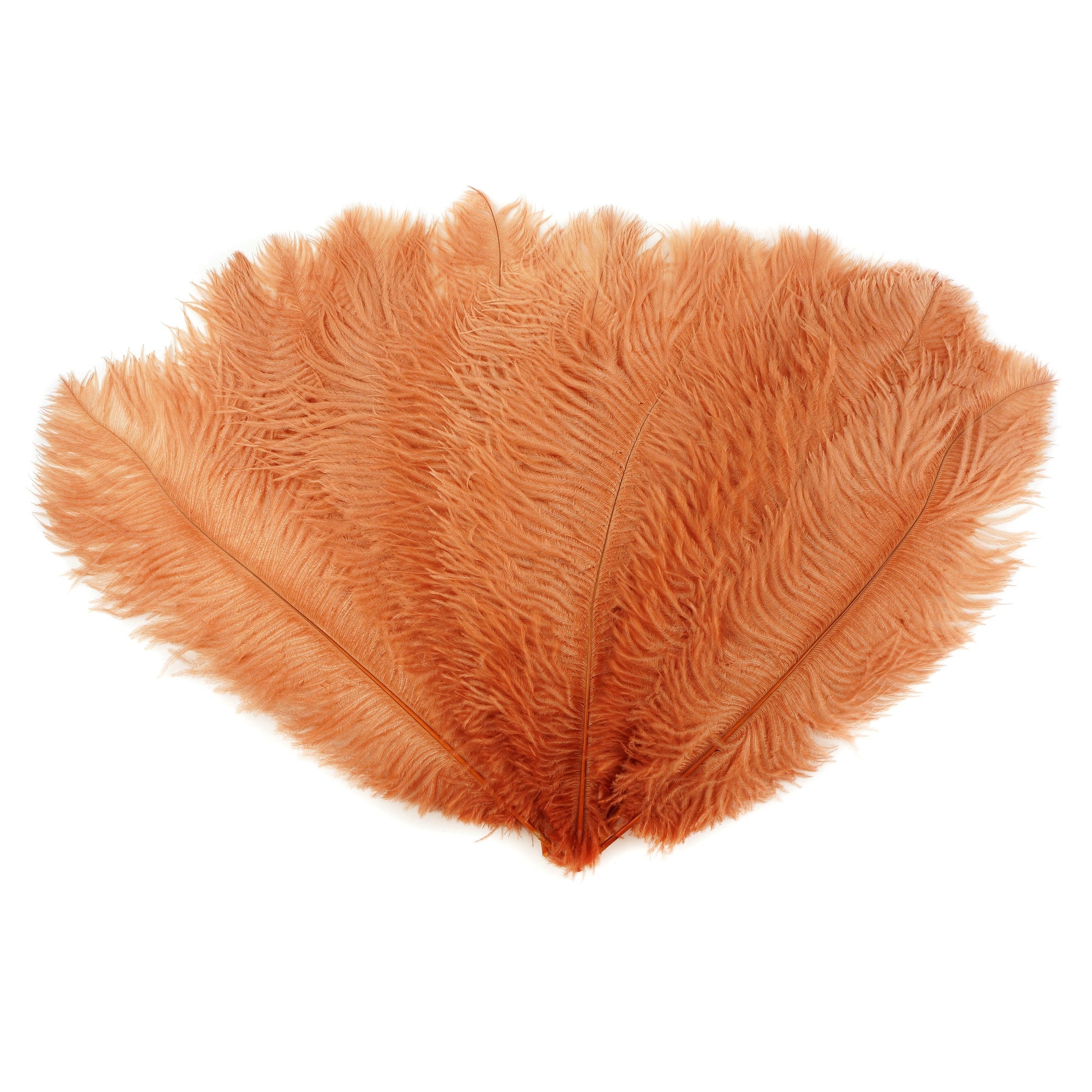 Ostrich Feathers 13-16’’ Drabs - Cinnamon - 12 pieces - Ostrich Feathers