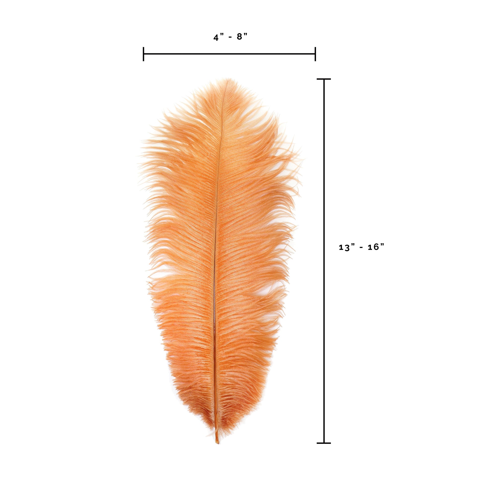 Ostrich Feathers 13-16’’ Drabs - Cinnamon - Ostrich Feathers