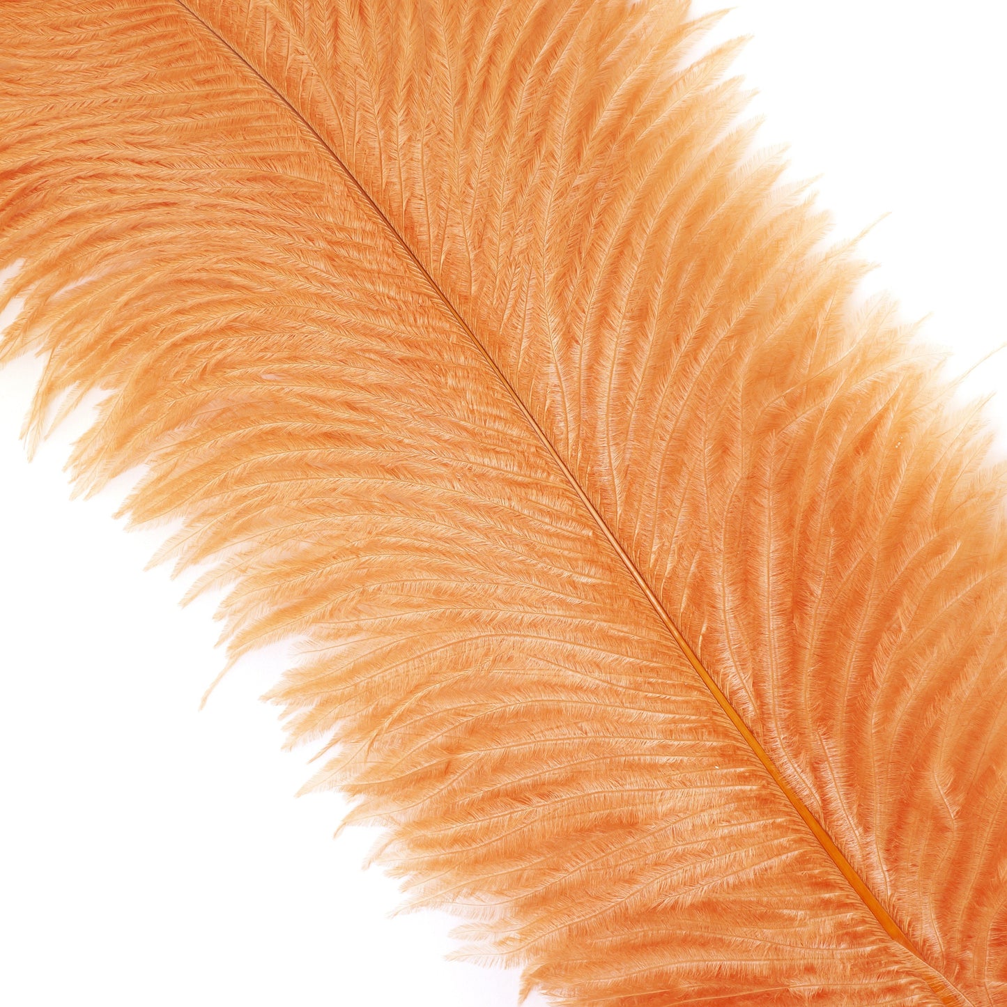 Ostrich Feathers 13-16’’ Drabs - Cinnamon - Ostrich Feathers