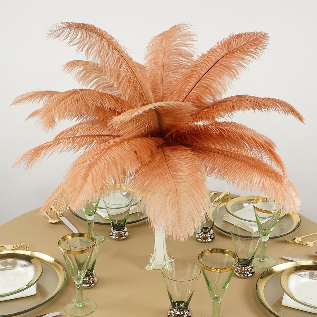 Ostrich Feathers 13-16’’ Drabs - Cinnamon - Ostrich Feathers