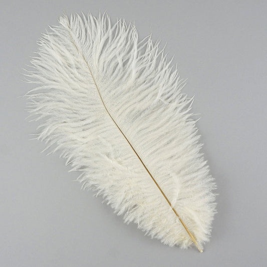 Ostrich Feathers 13-16’’ Drabs - Ivory - 1 piece - Ostrich Feathers