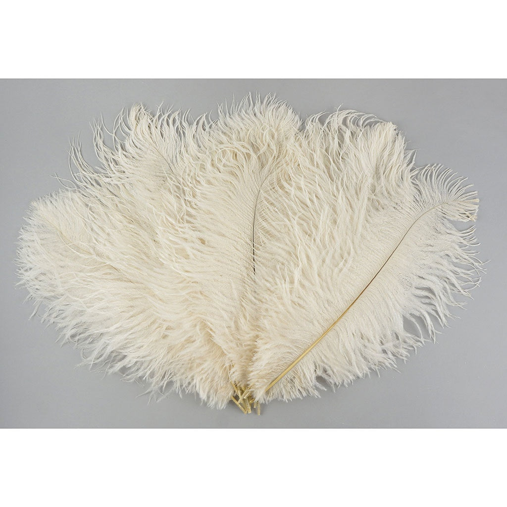 Ostrich Feathers 13-16’’ Drabs - Ivory - 12 pieces - Ostrich Feathers