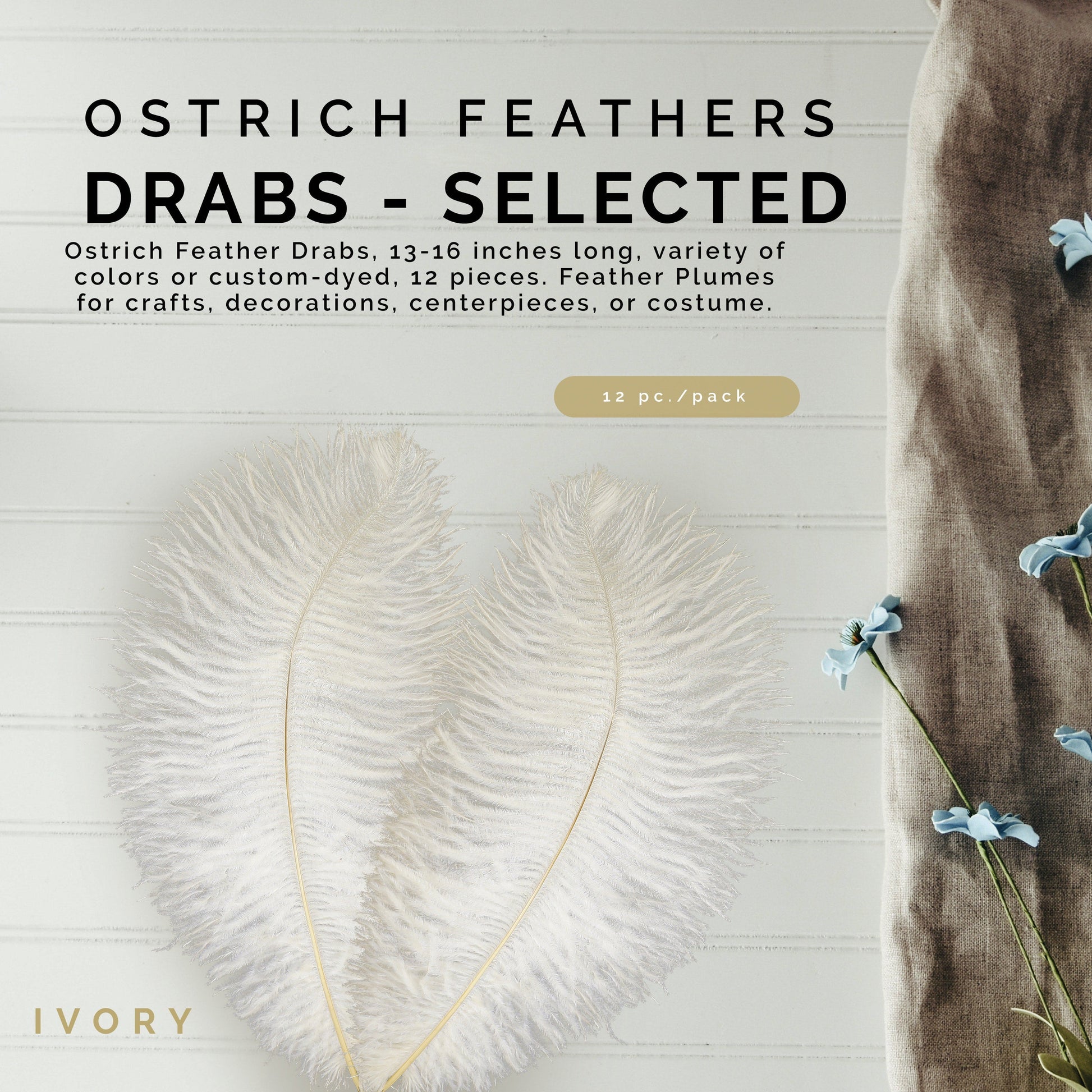 Ostrich Feathers 13-16’’ Drabs - Ivory - Ostrich Feathers