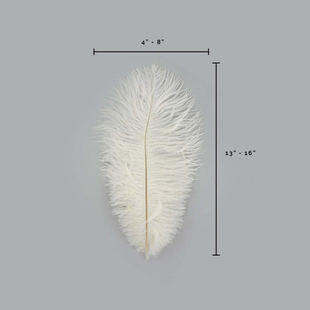 Ostrich Feathers 13-16’’ Drabs - Ivory - Ostrich Feathers