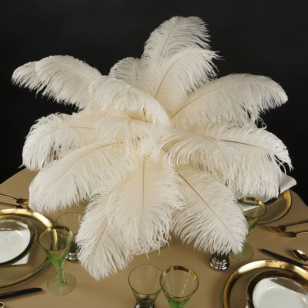 Ostrich Feathers 13-16’’ Drabs - Ivory - Ostrich Feathers