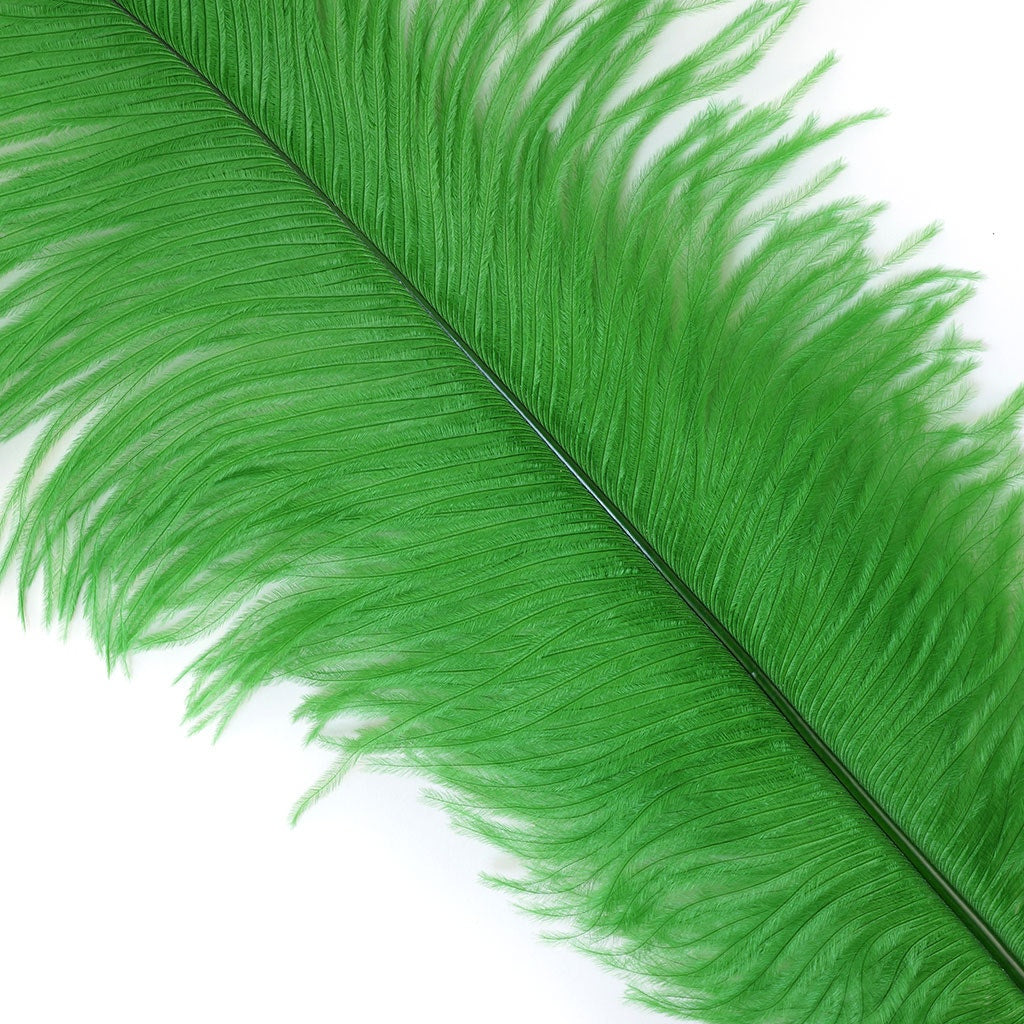 Ostrich Feathers 13-16’’ Drabs - Kelly - Ostrich Feathers