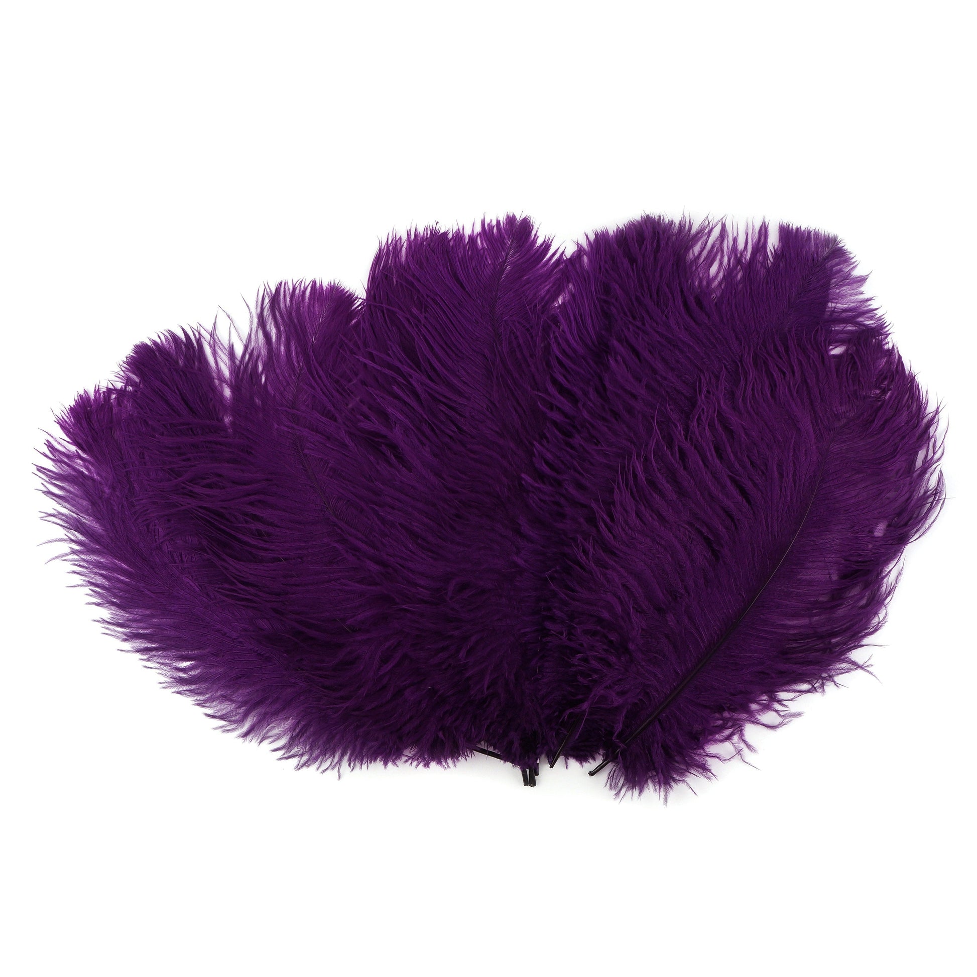 Ostrich Feathers 13-16’’ Drabs - Purple - 25 pieces - Ostrich Feathers