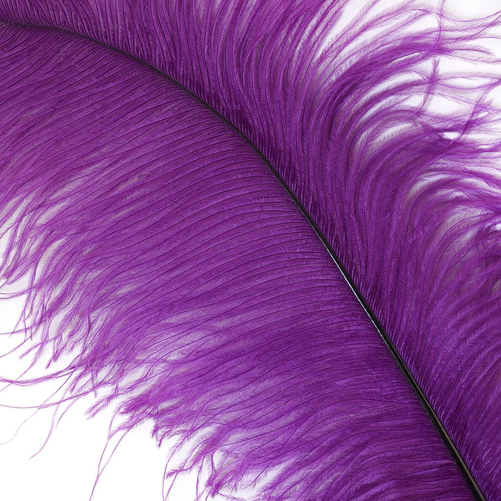 Ostrich Feathers 13-16’’ Drabs - Purple - Ostrich Feathers