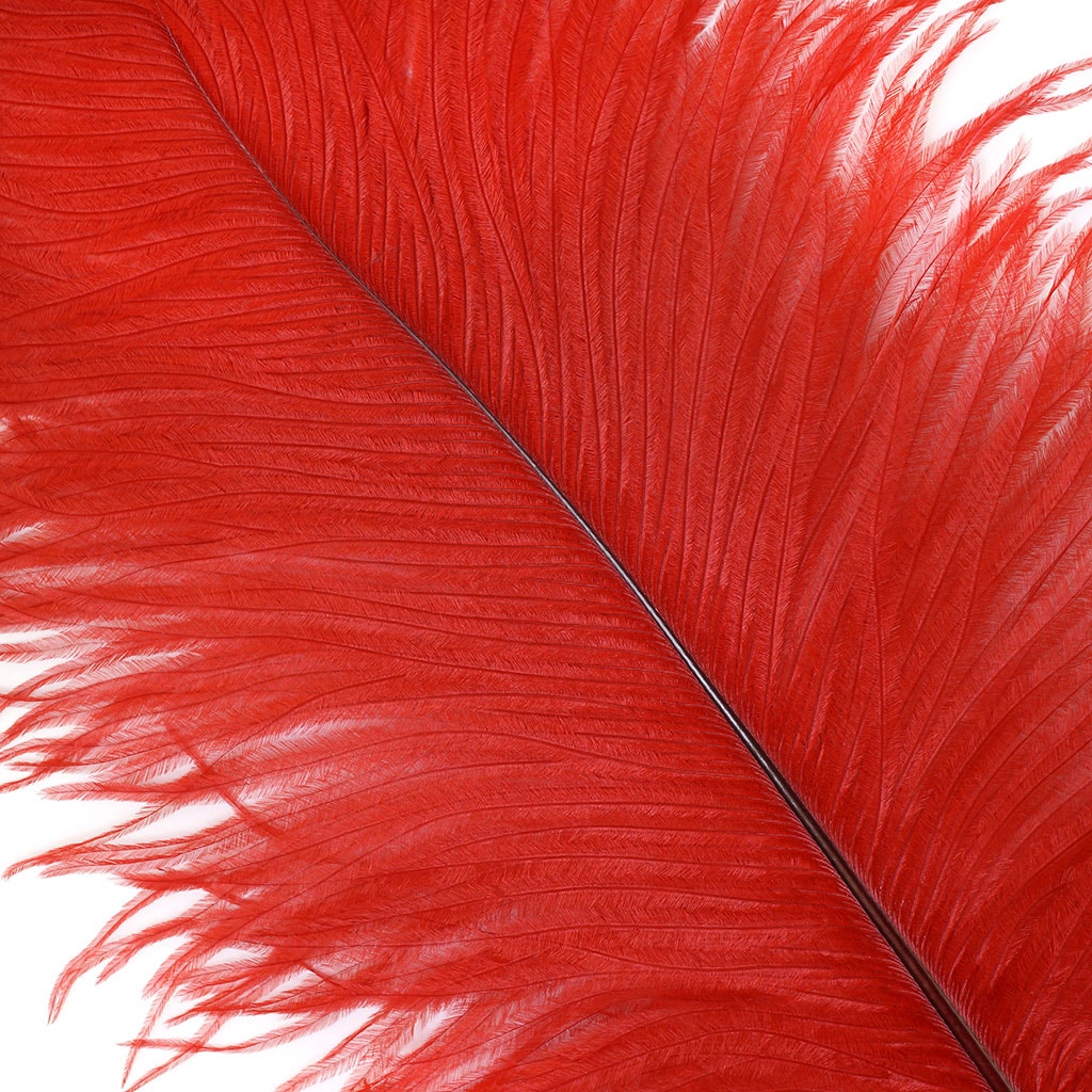 Ostrich Feathers 13-16’’ Drabs - Red - Ostrich Feathers