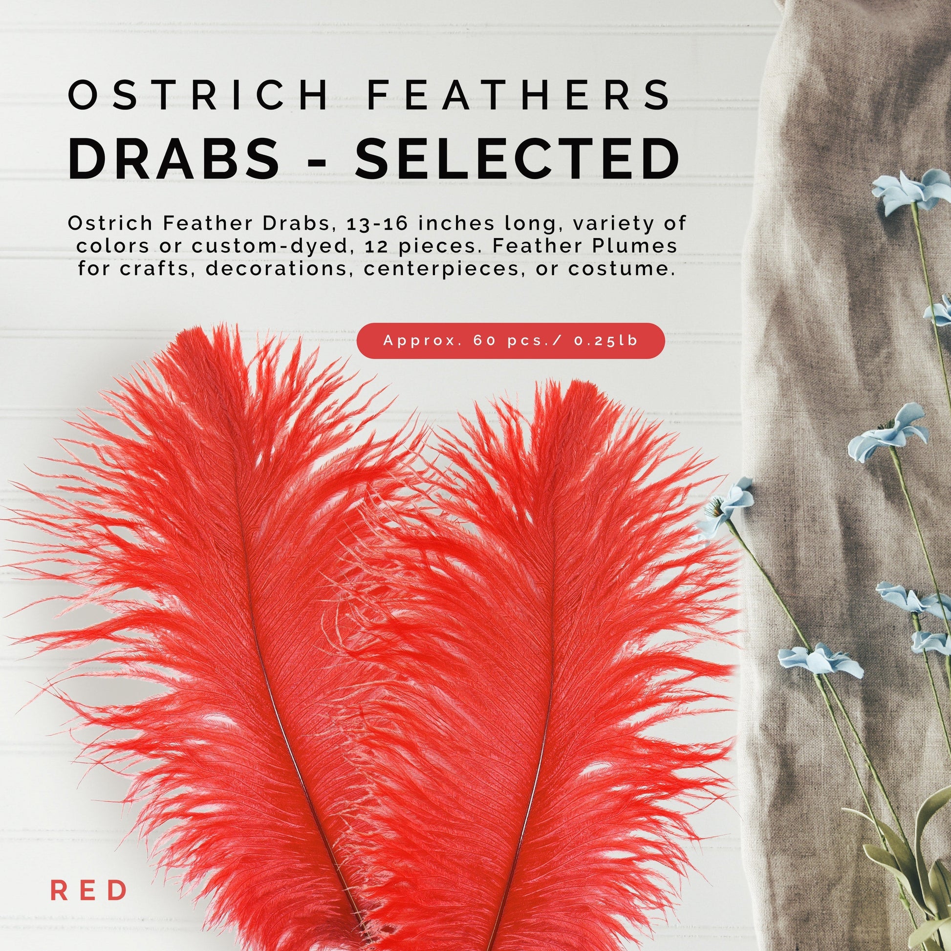 Ostrich Feathers 13-16’’ Drabs - Red - Ostrich Feathers