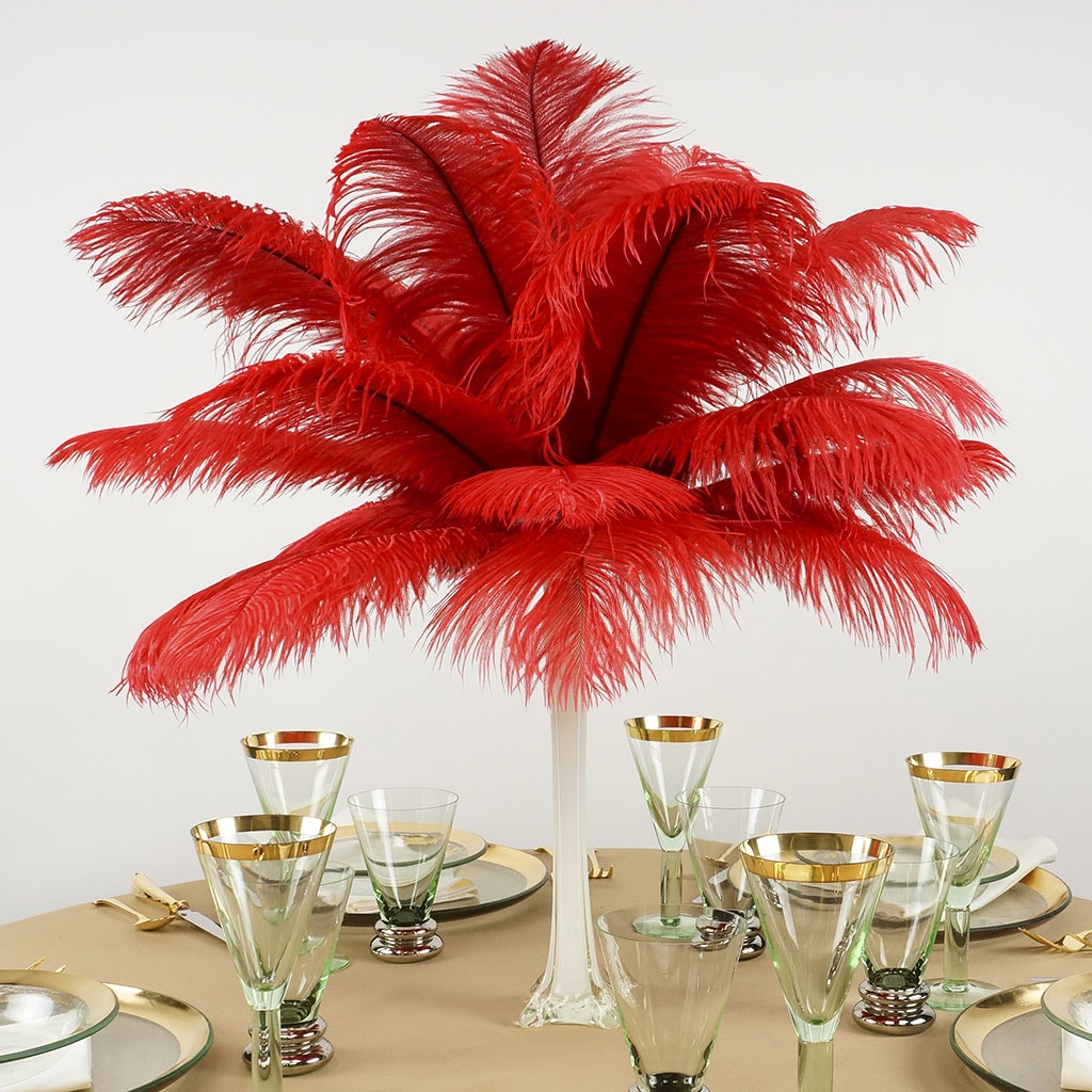 Ostrich Feathers 13-16’’ Drabs - Red - Ostrich Feathers