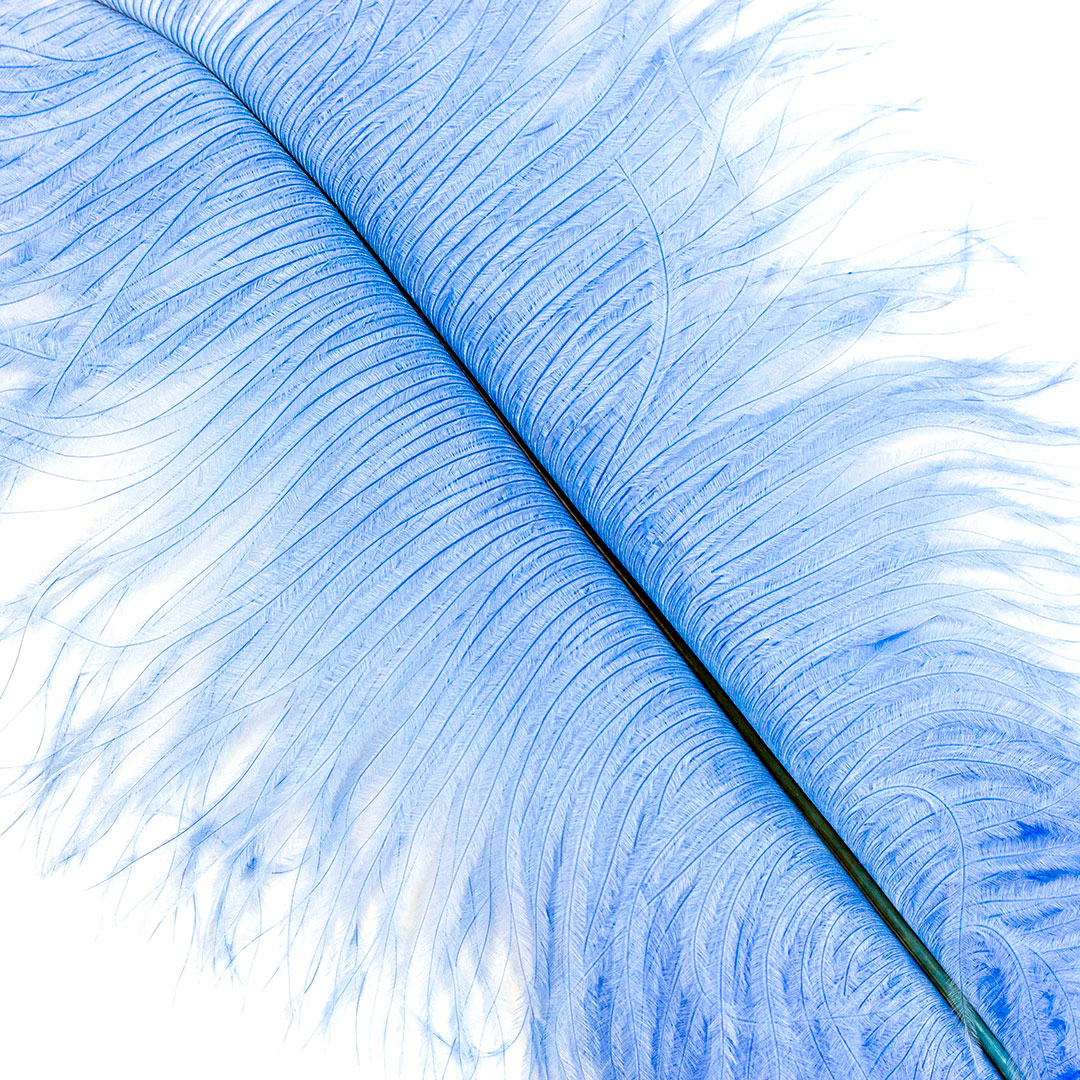 Ostrich Feathers 13-16’’ Drabs - Sky - Ostrich Feathers