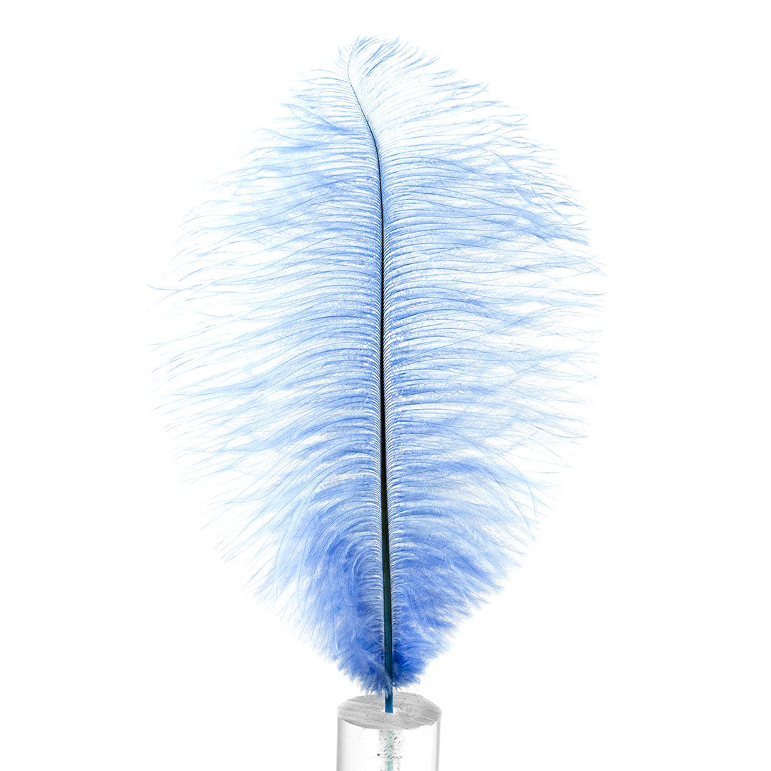 Ostrich Feathers 13-16’’ Drabs - Sky - Ostrich Feathers