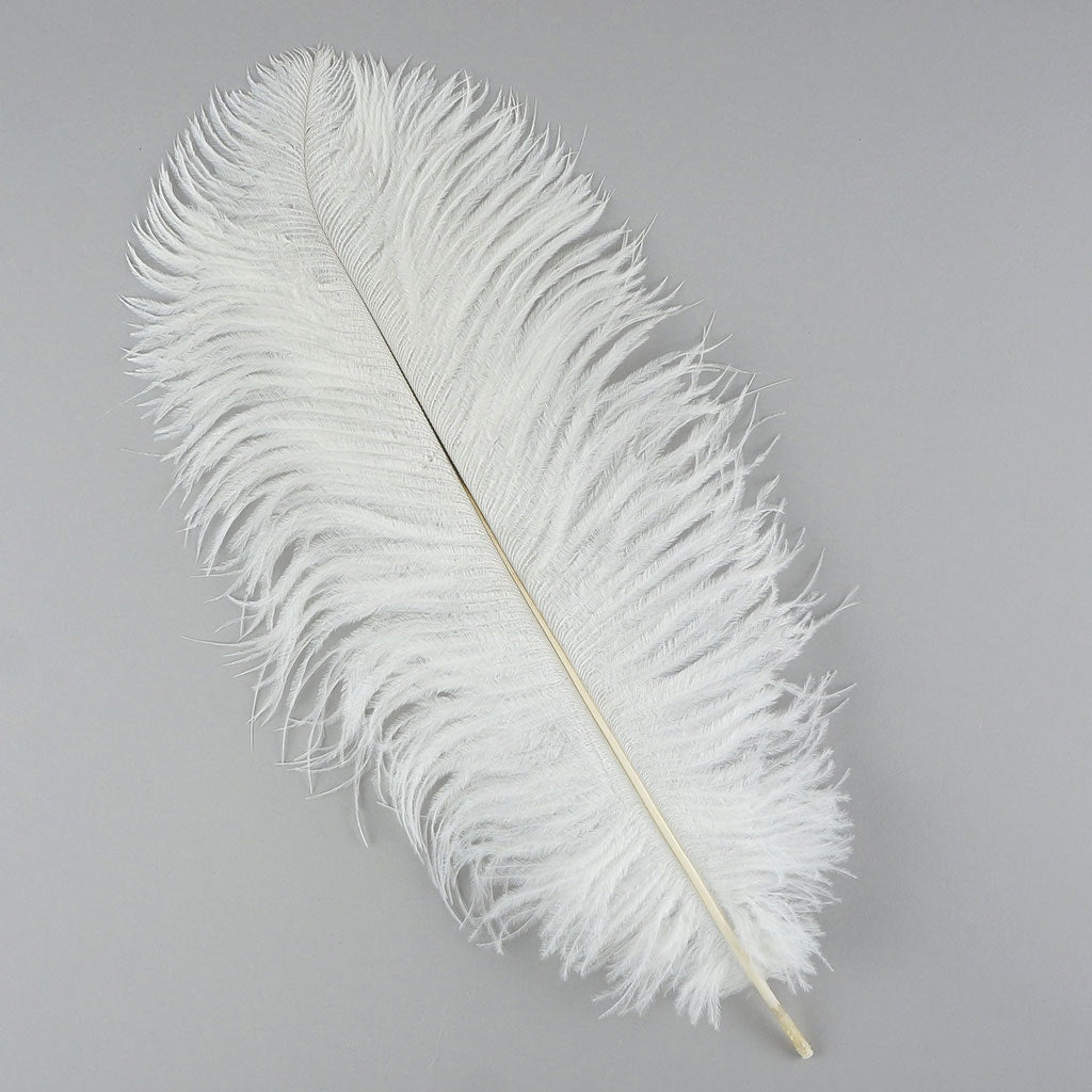 Ostrich Feathers 13-16’’ Drabs - White - 1 piece - Ostrich Feathers