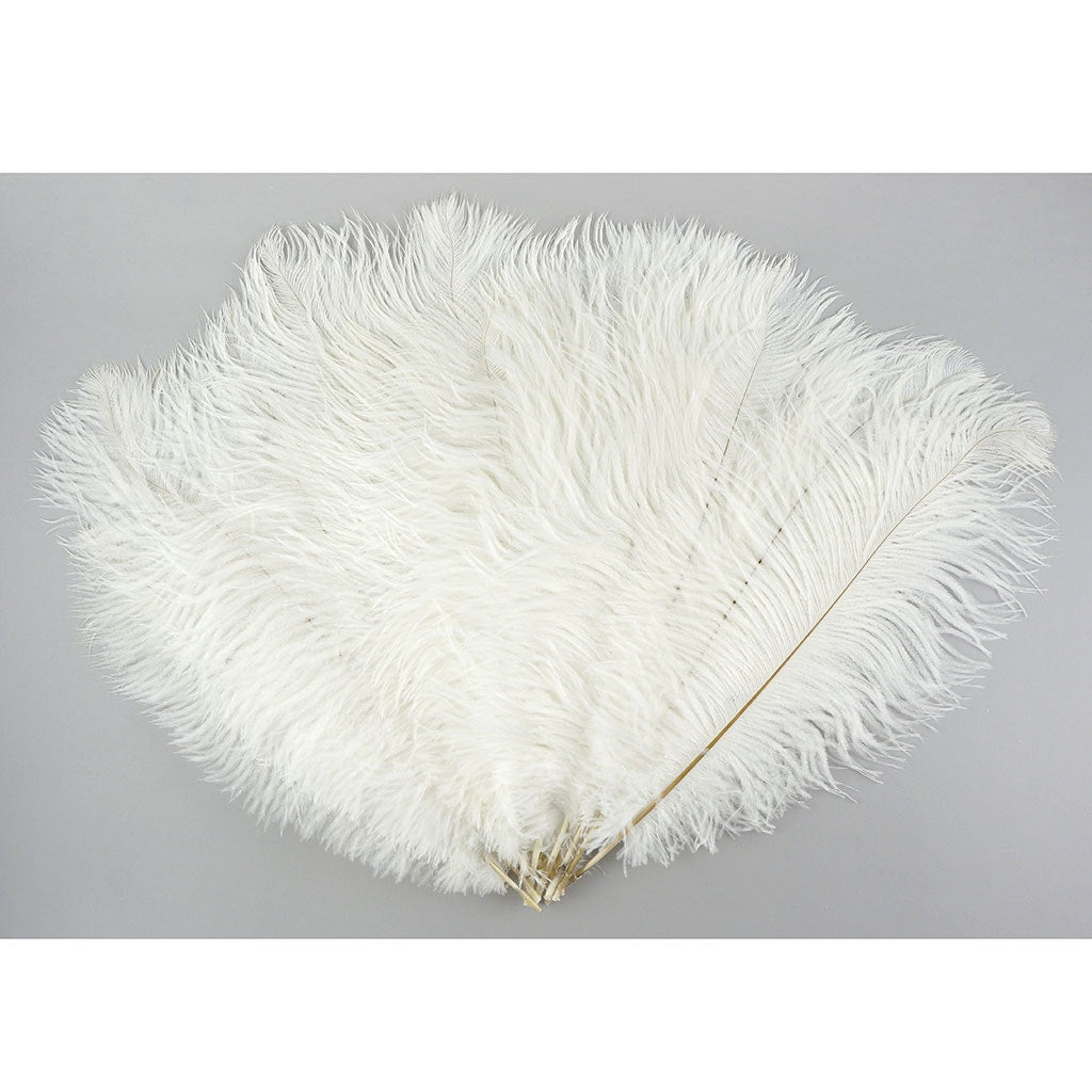 Ostrich Feathers 13-16’’ Drabs - White - 12 pieces - Ostrich Feathers