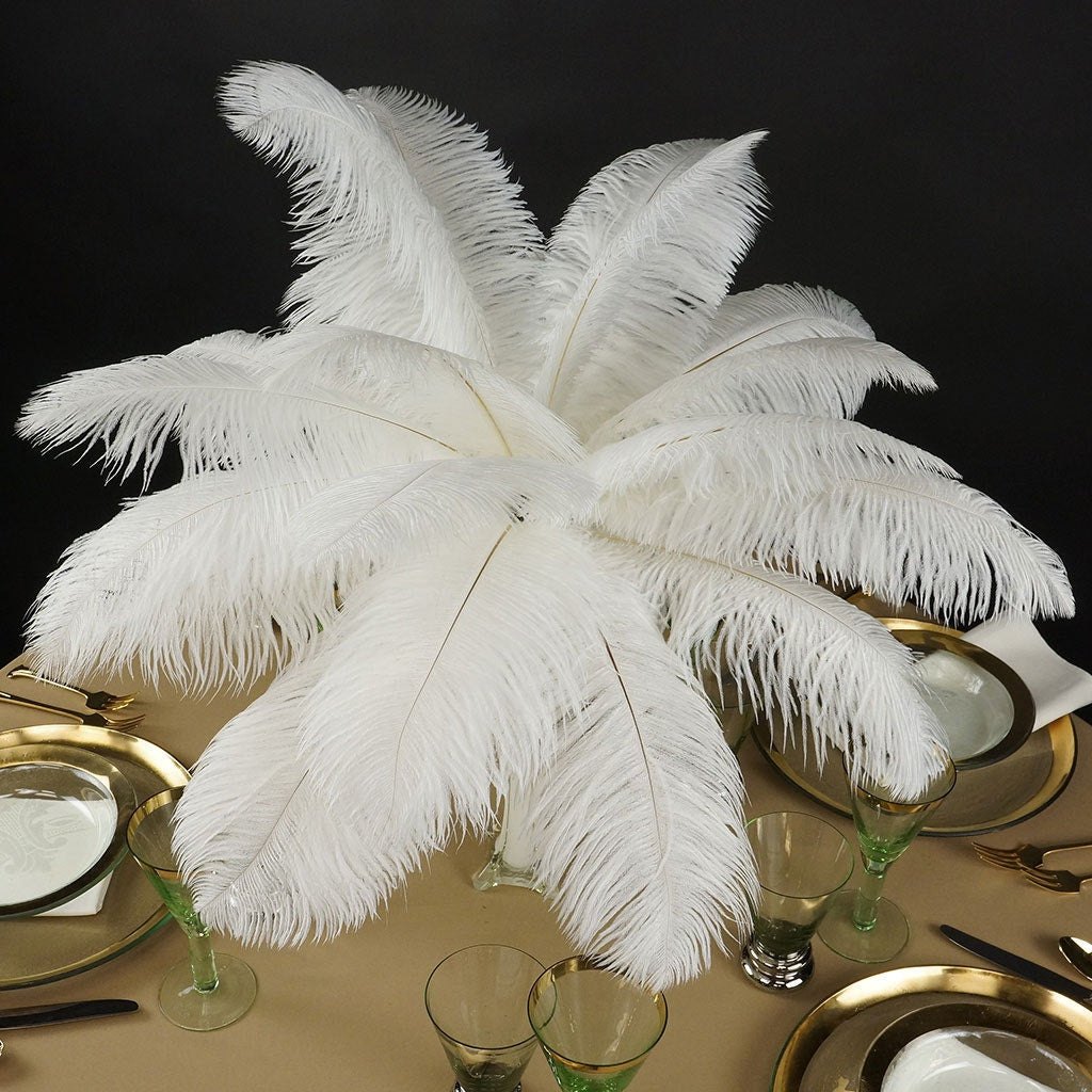 Ostrich Feathers 13-16’’ Drabs - White - Ostrich Feathers