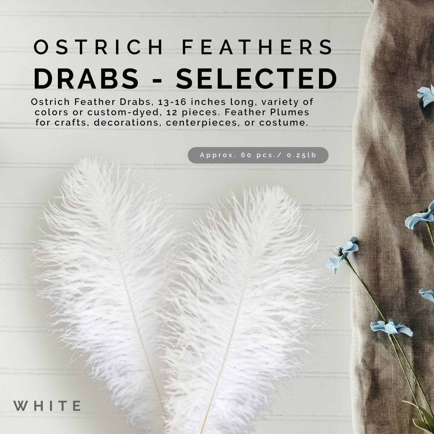 Ostrich Feathers 13-16’’ Drabs - White - Ostrich Feathers