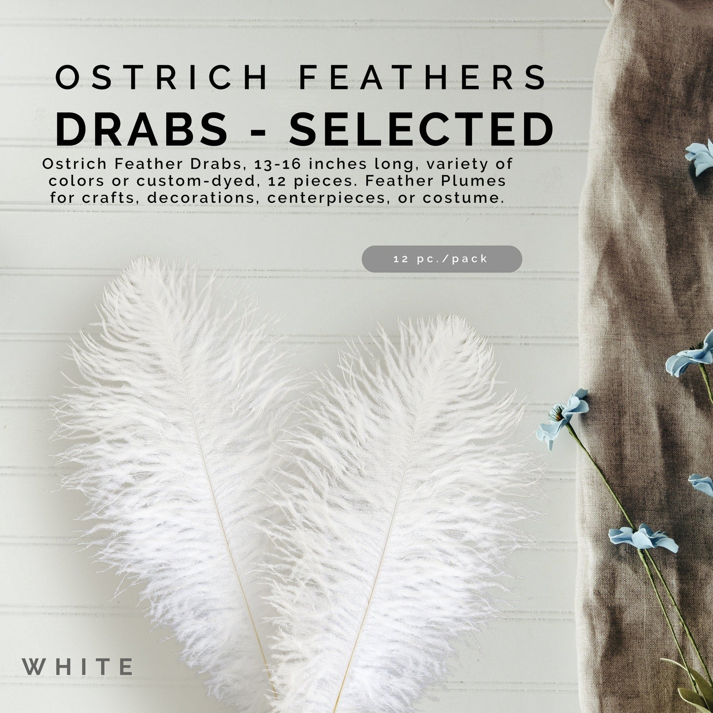 Ostrich Feathers 13-16’’ Drabs - White - Ostrich Feathers